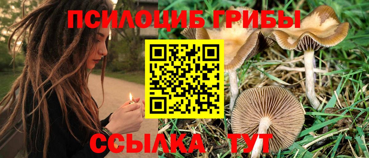 Псилоцибиновые грибы Magic Shrooms Минусинск